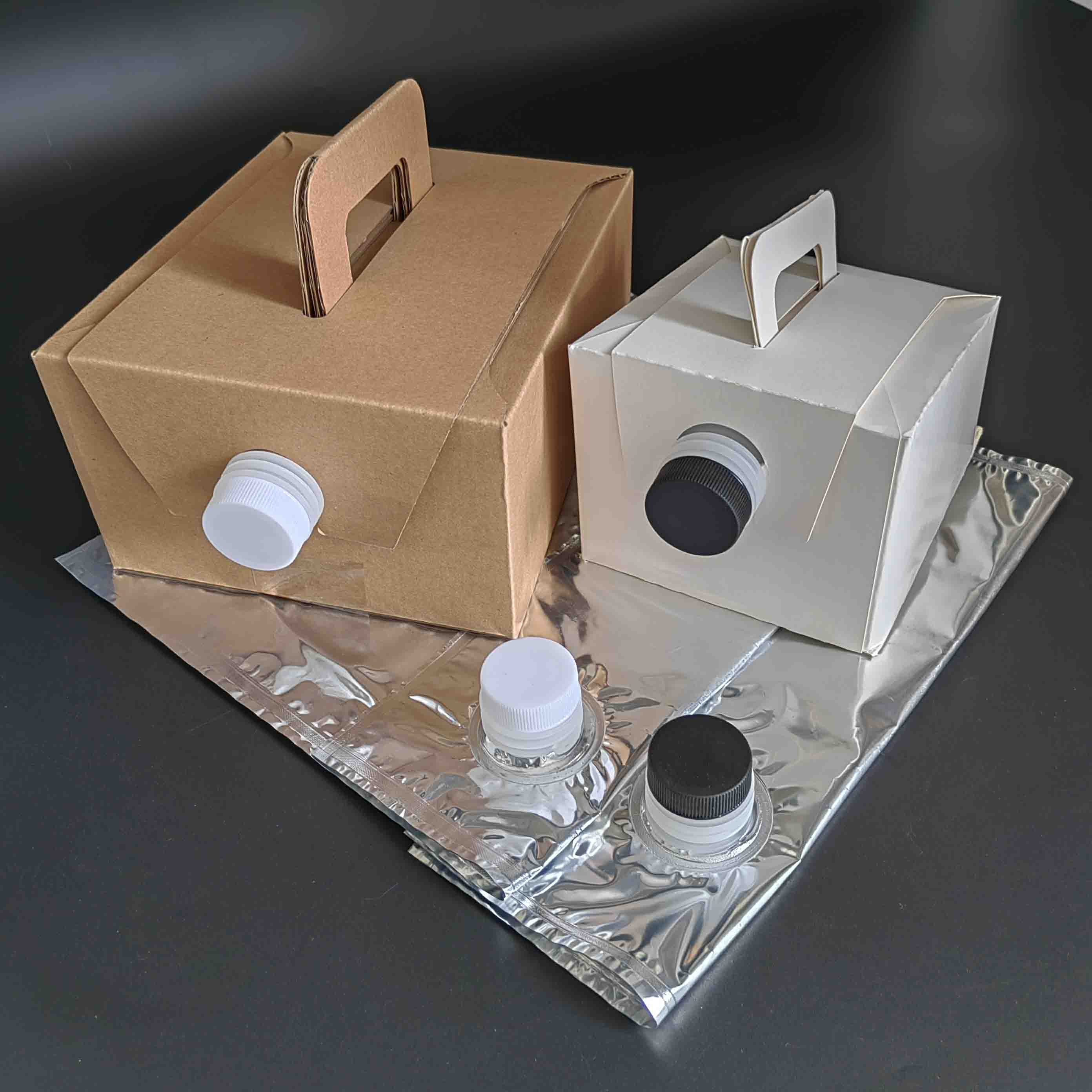 Bag-in-Box Packaging