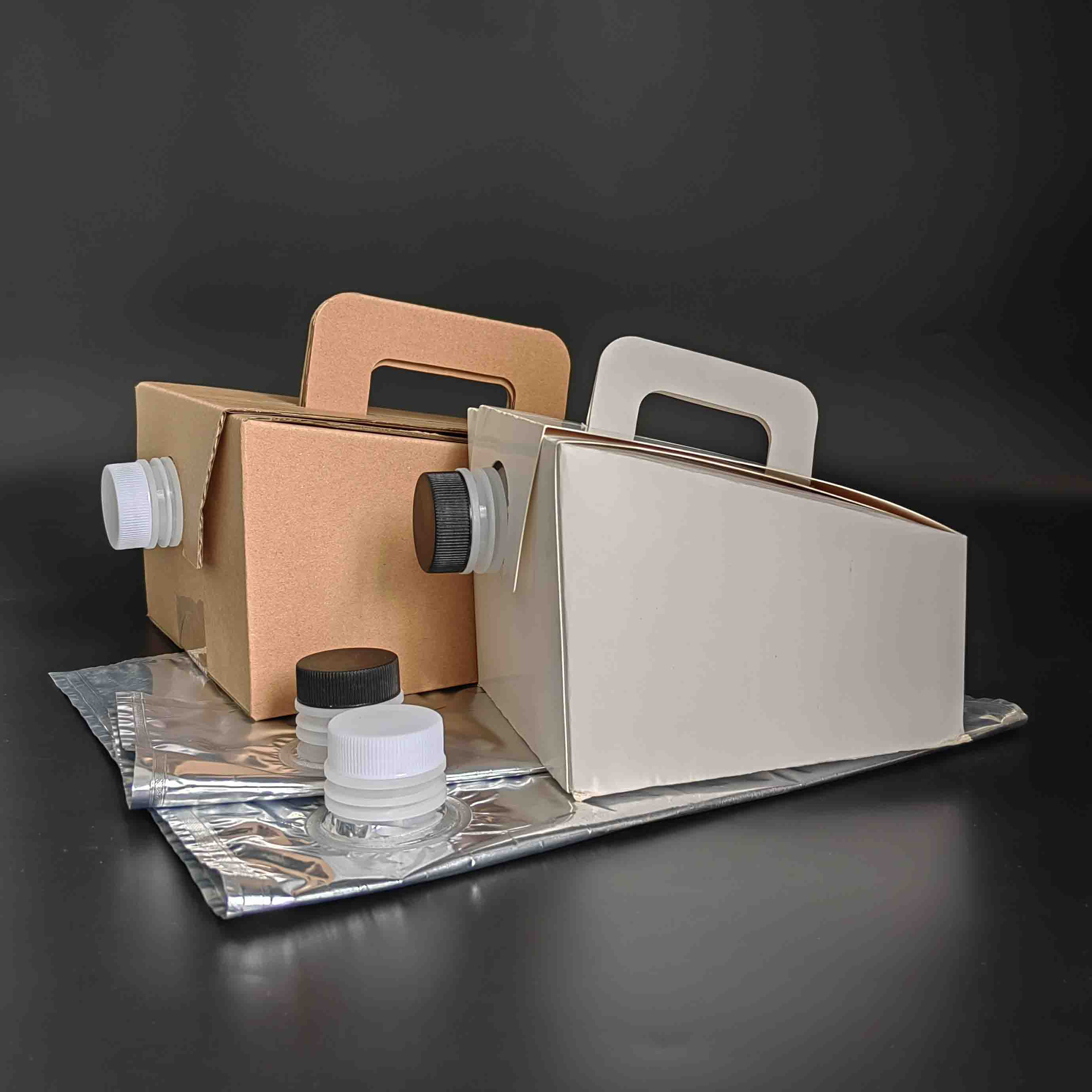 Bag-in-Box for Coffee